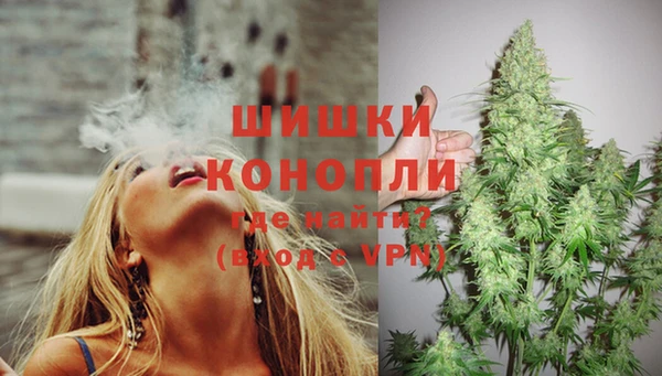 бошки Медногорск