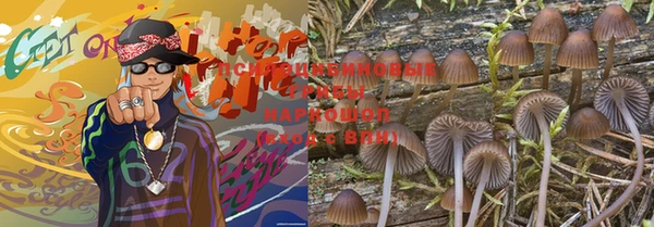бошки Медногорск