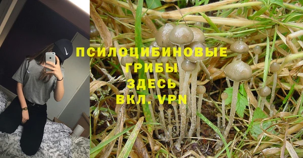 твердый Майский