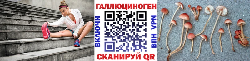 Псилоцибиновые грибы Psilocybine cubensis  Усмань 